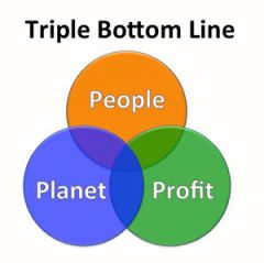 - the point in the middle is ideal balance of sustainability.