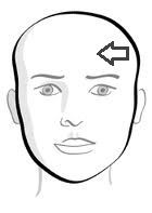 What is this part of the face called?