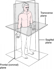 A  plane  parallel  to  the  long  axis  of  the  body  and  perpendicular  to  the  sagittal  plane  that  separates  the  body  into  front  and  back  portions.