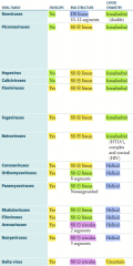 Ebola / Marburg hemorrhagic fever (often fatal)
- Envelope
- SS (-) linear
- Helical