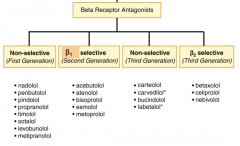 Here is a table showing the beta blockers organized by receptor target.