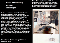 Robert Rauschenberg (Jasper Johns lover) 