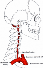 The cervical vertebrae do in order to house the vertebral artery.