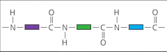 When proteins are made, an amide link is formed by the reaction of the amine group of one amino acid with the carboxylic acid group of the next amino acid. This is also a condensation reaction. 