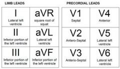 Limb Leads
1,2,3,AVR,AVL,AVF

Precordial Leads-V1-V6