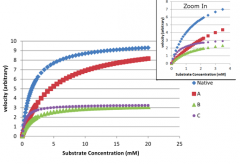 In
the velocity vs. substrate concentration curve, what is the Km of the Native
(uninhibited) enzyme?
