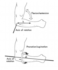 Which axis has a larger I?


 


A) flexion/extension


B) Pronation/Supinatin


C) Same