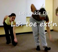 1. postural assessment


2. active forward, backward, and lateral bending of lumbar spine


3. standing flexion test/ Gillet's test


4. Toe Raises (S1, tibial nn)


5. heel walking (L4, L5 deep fibular nerve)