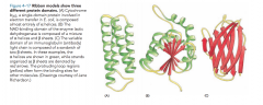 -any segment of a polypeptide chain that can fold independently into a compact, stable structure
-contains 40-350 amino acids folded into α helices, ß sheets, and elements of the secondary structure
-is the modular unit from which many larger ...
