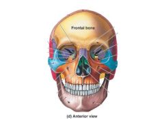 Name the only two Facial Bones that are unpaired. 