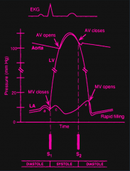 Aortic pressure. Therefore, aortic pressure is the most important determinant of ventricular afterload.