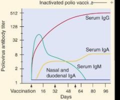 Enterovirus - Polio:
Antistoffer er det primære immunrespons ved den inaktiverede virus vaccine (IPV). Denne vil primært danne IgG og serum IgA i blodet og derfor primært beskytte mod viræmierne. Det danner IKKE duodeal IgA. 

Der findes ikke...
