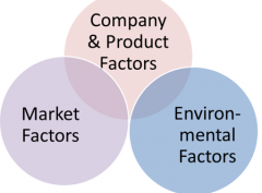Company & Product Factors
Market Factors
Environmental Factors