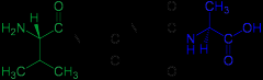 Naturally occurring biological molecules. They are short chains of amino acid monomers linked by peptide (amide) bonds. The covalent chemical bonds are formed when the carboxyl group of one amino acid reacts with the amino group of ano...