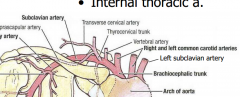 Need to know:
Vertebral A.
Thyrovervical trunk
Internal thoracic A.