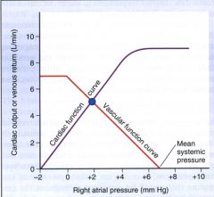 We can graph both cardiac output and venous return as a function of right atrial pressure, and see how the two interact to determine the steady-state operating point.

*Cardiac function curve is basically the Frank-Starling curve.

*Venous ret...