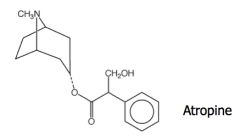 Examples and Uses:
Alkaloids (atropine, scopolamine)

Usual doses of atropine have little CNS effects; scopolamine has better permeation of blood-brain barrier at therapeutic doses (used for motion sickness)
Intravenous atropine is used for si...