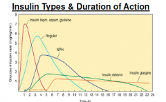 Note: Regular insulin has a slower onset, decr. peak and increased area under the curve (hence, greater length of effect)


-Insuulin detemir and insulin glargine have no real peak