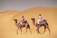 Sand Dunes and Camels