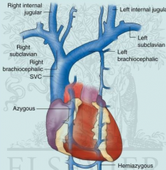 The union of the internal jugular and subclavian vein