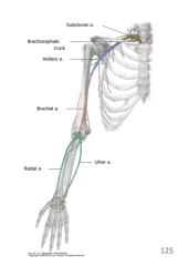The axillary vein
