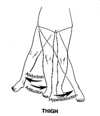 arm or thigh as the adduction continues past 0 so that the limb crosses the body