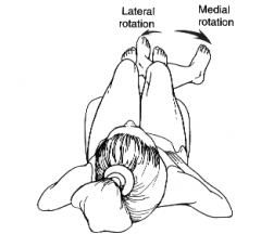 movement of a segment around a vertical axis running through the segment so that the anterior surface of the segment moves away from the midline of the body, while posterior surface moves toward midline