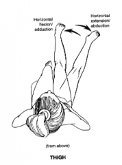 arm and thigh; combination of flexion and adduction.  Movement of arm or thigh across body, toward midline, using movement horizontal to the ground