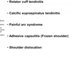 Rotator cuff tendinitis
Calcific Suprasinatus tendinitis
Painful arc syndrome
Adhesive capsulitis
Shoulder dislocation