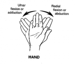 hand toward little finger or ulnar side of forearm