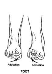 when the forefoot moves toward the little toe side of the foot