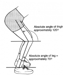 three axis intersect in the center of the joint and movement of the segment is described with reference to a fixed angle