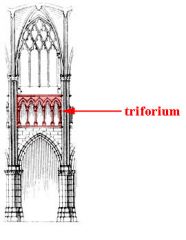 In gothic churches the horizontal section of a nave wall that sometimes serves as a passageway and often has a blind fenestrated arcade
