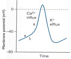 phase 4= slow influx of Na+ (depolarization)


phase 0= slow inward Ca2+ funny current  (AP upstroke)


phase 3= K+ efflux (repolarization)