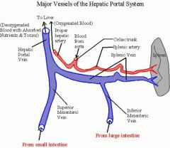 ↑ pressure in portal vein
(portal venous pressure > 7mmHg)