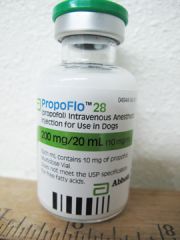 Thiopental


Ketamine


Propofol


Etomidate