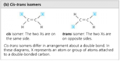 isomers that differ in arrangement about an inflexible double bond


cis - X groups on same side
trans - X groups of different sides