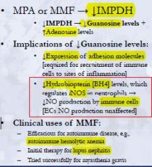 Mycophenolic Acid & Mycophenolate Mofetil
MPA or MMF → ↓IMPDH