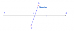 The bisector is any line/line segment/ray/plane that intersects a line segment at its midpoint.