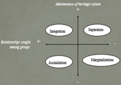 How
do immigrants fit into their host culture?






-











 Separation: sticking together
     
 
  Hold onto own culture and
      dont want anything to do with the dominant culture  
 
-Marginalization
 
  Withdr...