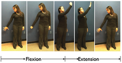 start: GH IR, ext, and ABD (throwing apple away)


end: GH ER, flexion and ADD (biting apple)


D1 ext is opposite