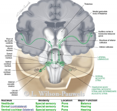 vestibulocochlear
- balance (vestibular)
- hearing

all from pons (special sensory)
