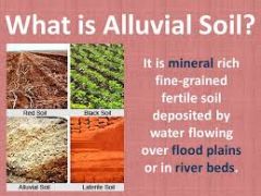 Alluvial soil