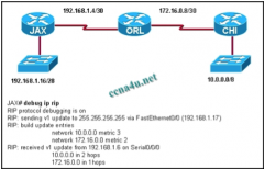 the exhibited network contains a mixture of Cisco and non-Cisco routers. The command debug IP RIP was entered on the JAX router. All routers are running the same version of RIP. Router CHI and Router ORL are not able to reach the 192.168.1.16/28 n...