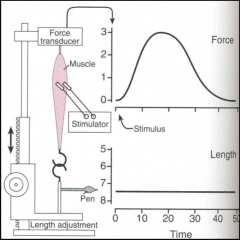 *Force transducer records the isometric force response to a single stimulus.
*Muscle length adjustable at rest; held constant during contraction.

*Both ends of the muscle are fixed, so that it cannot shorten.