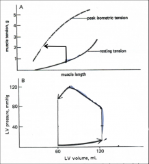 Effect of Increased Preload on Afterloaded Contractions (A) and Ventricular Stroke Volume (B):