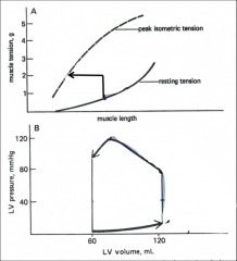 Effect of Increased Contractility on Afterloaded Contractions (A) and Ventricular Stroke Volume (B):