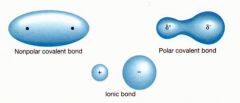 Polar covalent bond