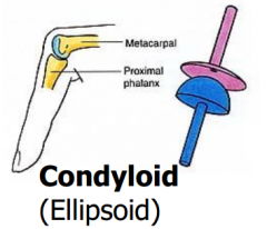 Type of synovial joint, permits flexion, extension, abduction and adduction ex: metacarpophalangeal joints.