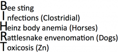 ・Rattlesnake envenomation (Dogs) (→ spheroechinocytes → spicules go away → spherocytosis)
・Clostridial infections (Horses)
・Bee stings (band 3 clustering)
・Heinz body anemia (Horses) (membranes collapse (eccentrocyte)/band 3 clust...